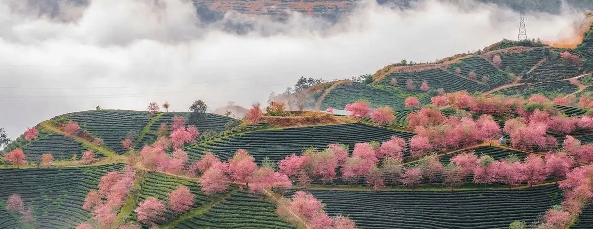 sapanomad vietnam 2025 | Sapa Nomad